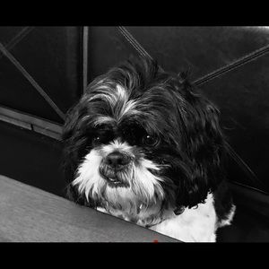 Meet your Posher, Kim